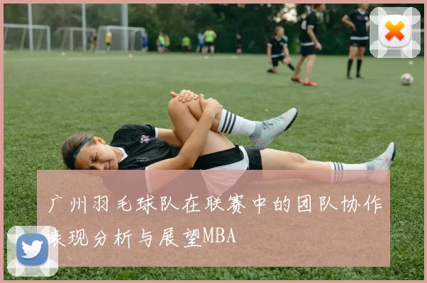 广州羽毛球队在联赛中的团队协作表现分析与展望MBA
