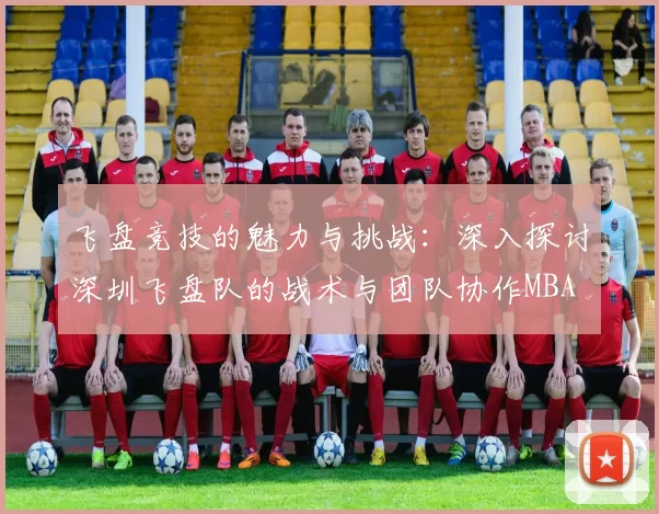 飞盘竞技的魅力与挑战：深入探讨深圳飞盘队的战术与团队协作MBA